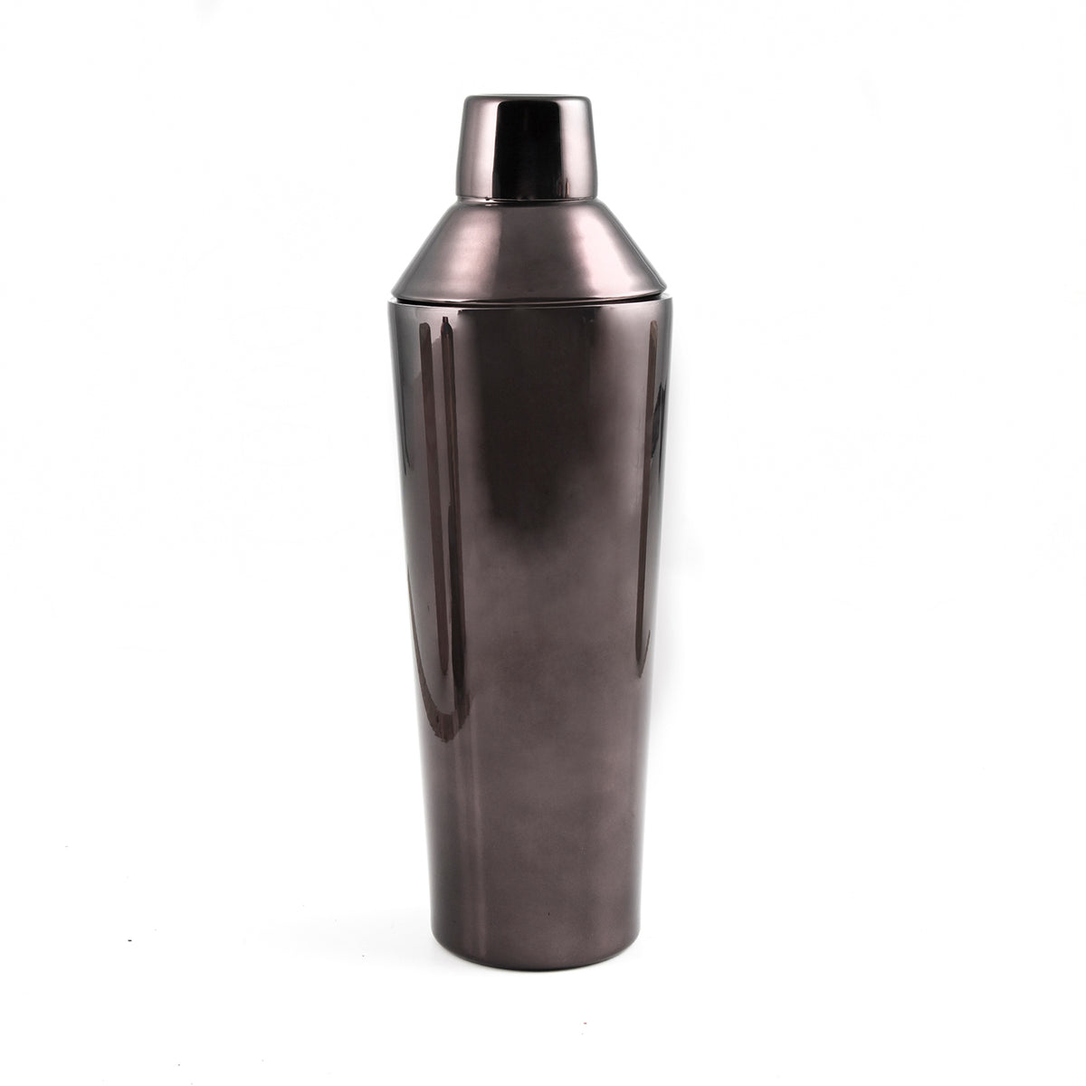 Insulated Stainless Steel Shaker Bottle - Sprout Living