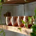Smooth Copper Mule Mugs, Set of 4